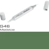 Copic Sketch G46 Mistletoe