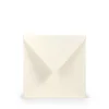 Konvolutt 5 stk. 164x164 mm elfenbein