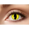 Linser Yellow Cat