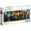Puslespill H Potter Panorama 1000