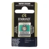 Rembrandt akvarellmaling halvkopp – Ivory Black 701