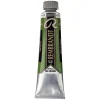 Rembrandt oljemaling 40 ml Sap Green - 623