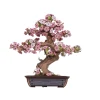 Rolife DIY Wooden 3D-trepuslespill Sakura bonsaitre TG415 161×111×170 mm