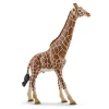 Schleich sjiraff, hann
