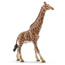 Schleich sjiraff, hann