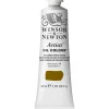 Winsor & Newton Artists' oljemaling 37 ml Raw Umber (Green Shade) 558