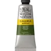 Winsor & Newton Galeria akrylmaling 60 ml Olive Green 447