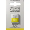 Winsor & Newton Professional akvarellmaling halvkopp Hooker's Green 311